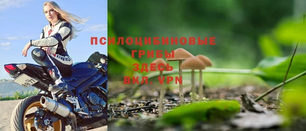 стафф Зеленодольск