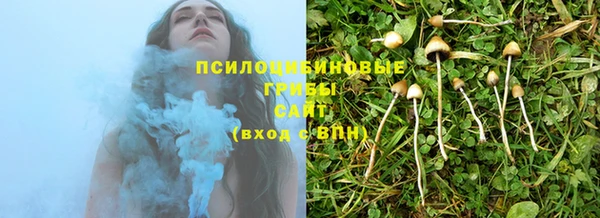 spice Зеленокумск