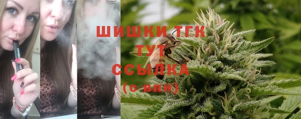стафф Зеленодольск